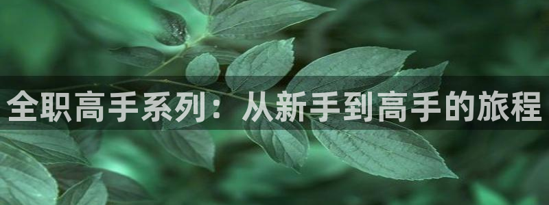 拷贝漫画新版：全职高手系列：从新手到高手的旅程